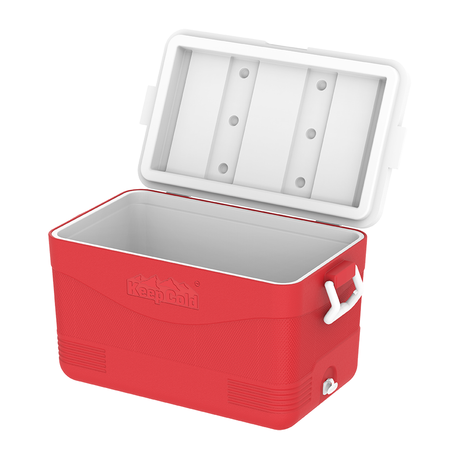 ايس بوكس كيبكولد بيكنيك 60 لتر
