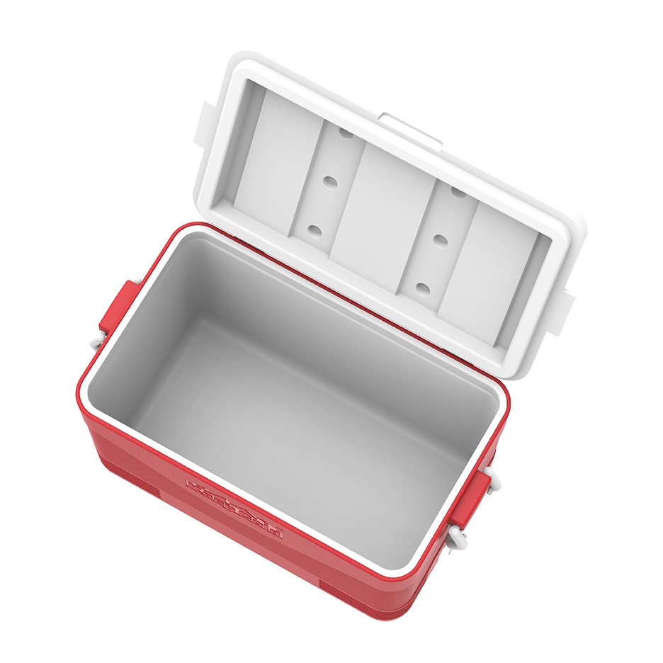 ايس بوكس كيبكولد بيكنيك 60 لتر
