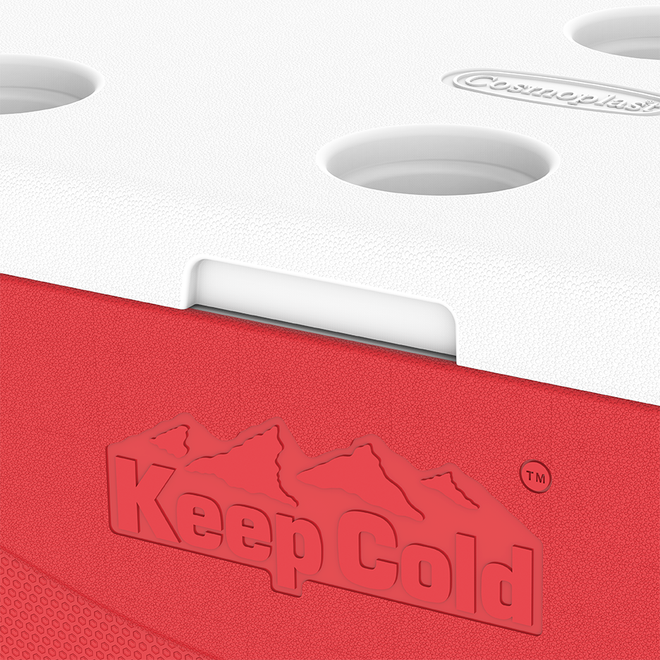 ايس بوكس كيبكولد بيكنيك 60 لتر
