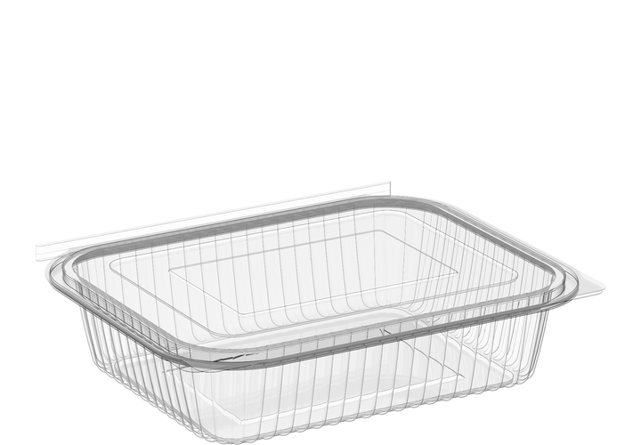 48 oz Carton of 200 Hinged Flat Plastic Containers