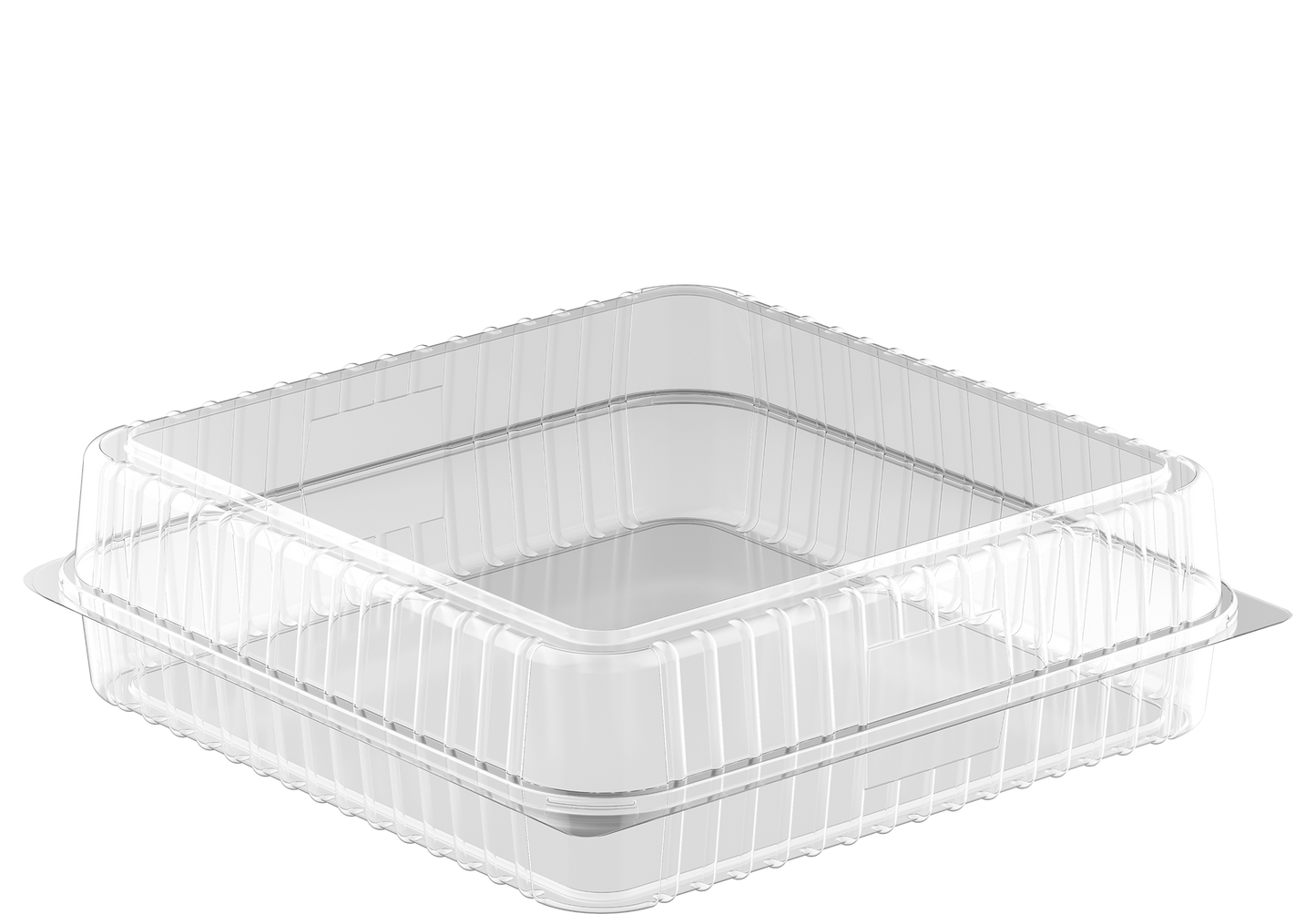 Large Cake Plastic Containers Pack of 10