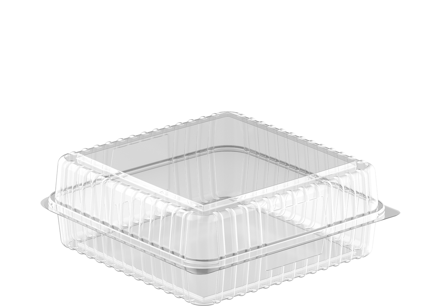 Small Cake Plastic Containers Pack of 20