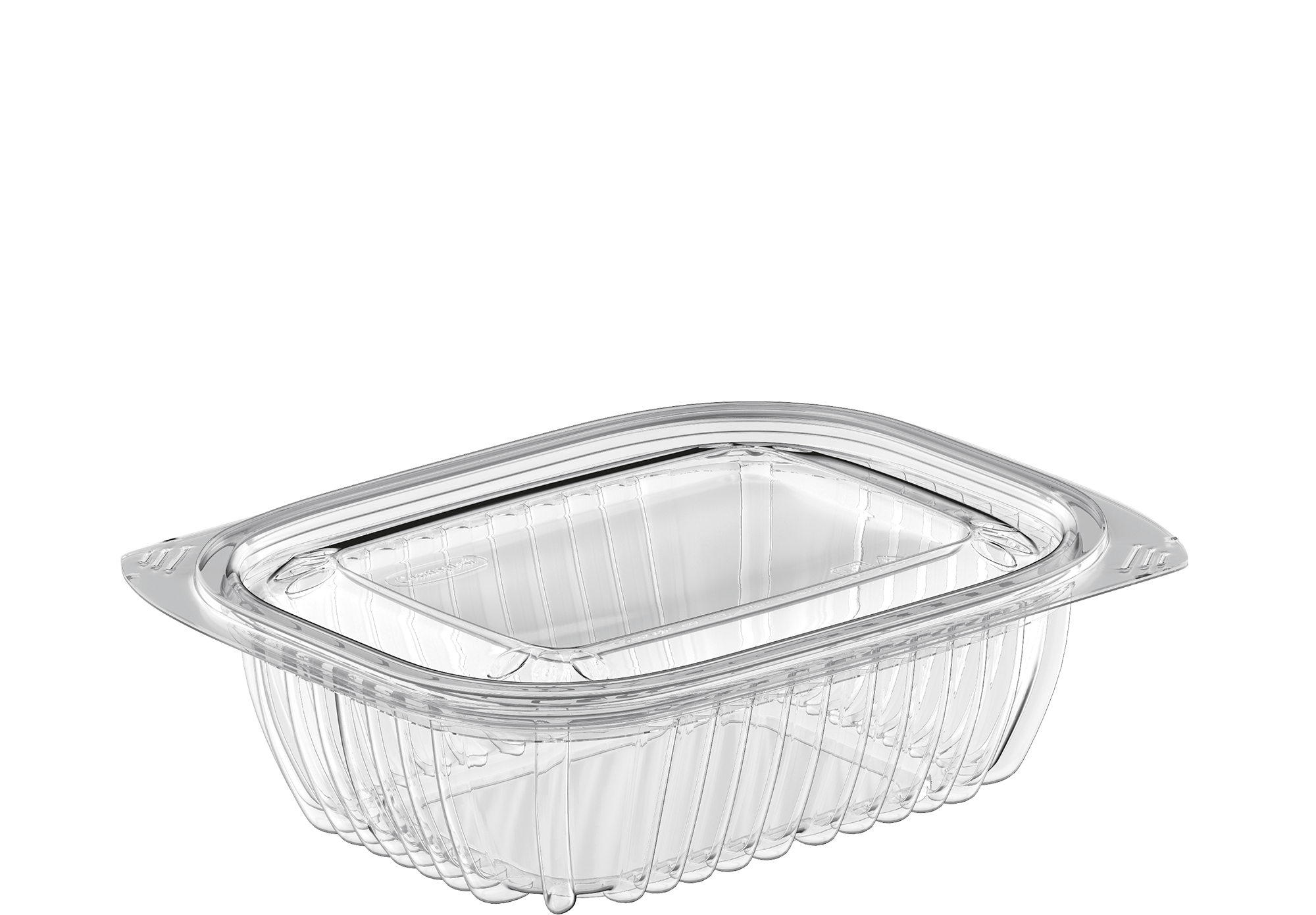 Transparent Plastic Container With Handle For Sale at Andrea Newton blog