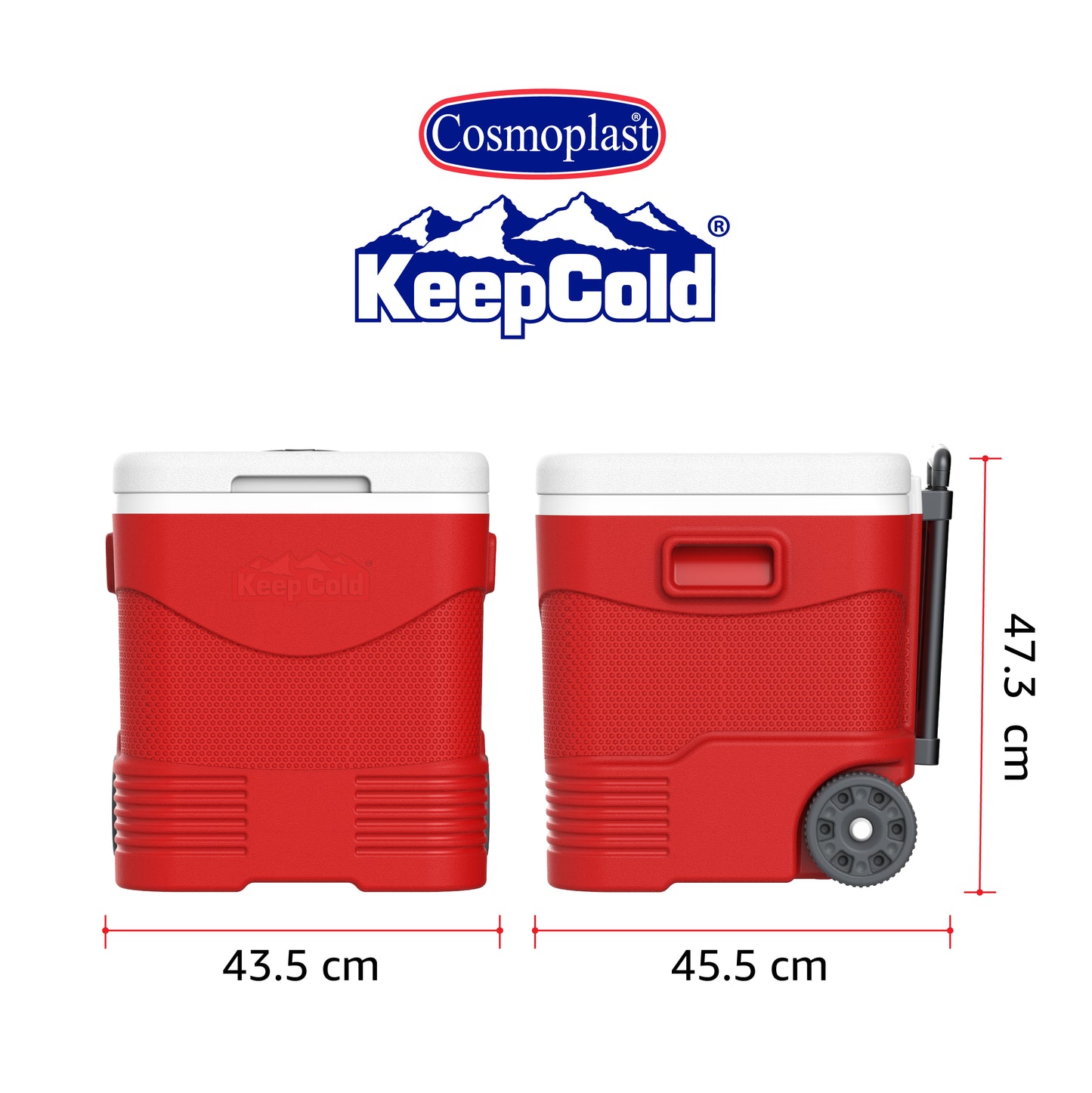 Cosmoplast 45L Icebox with Umbrella Holder