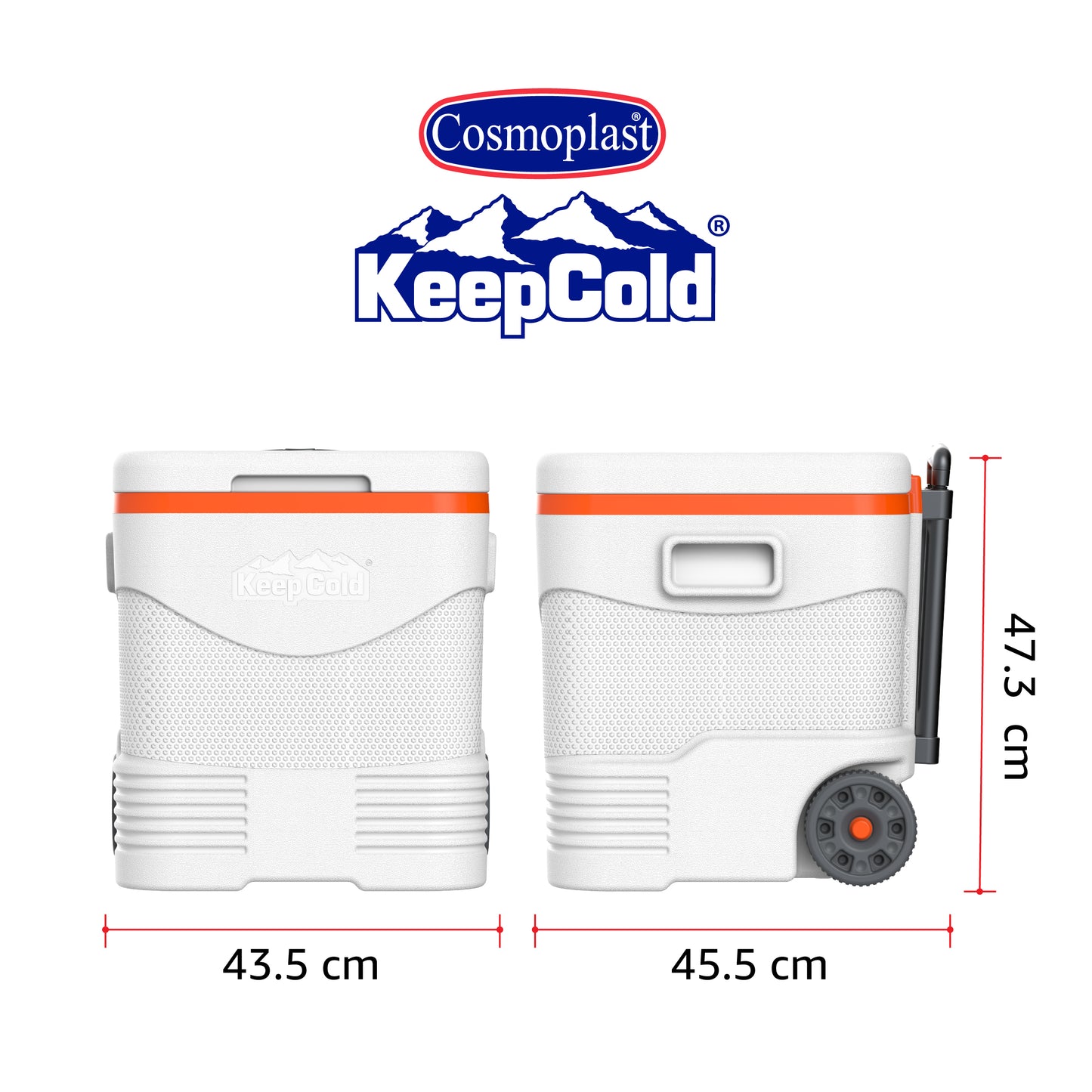 Cosmoplast 45L Icebox with Umbrella Holder