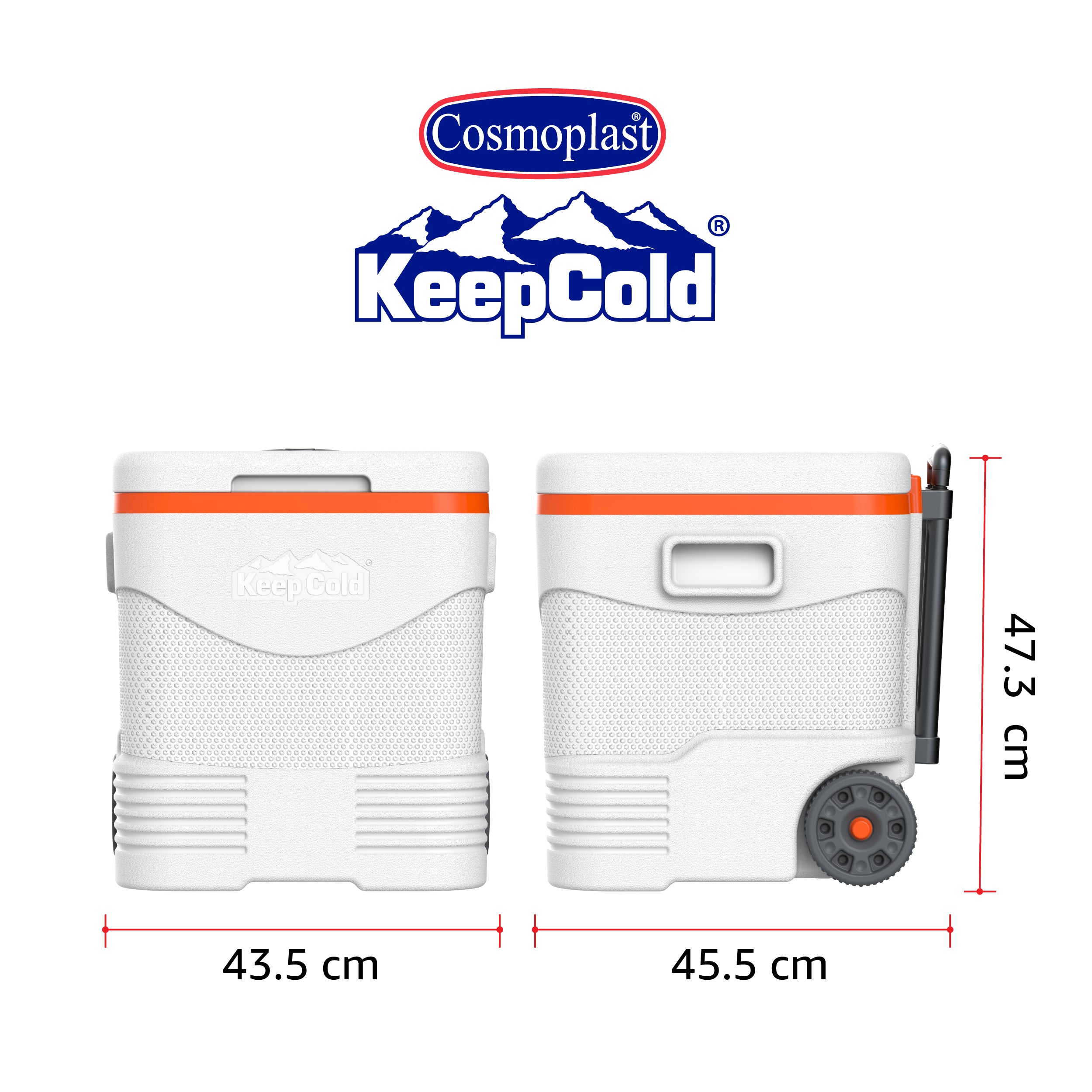 Cosmoplast 45L Icebox with Umbrella Holder