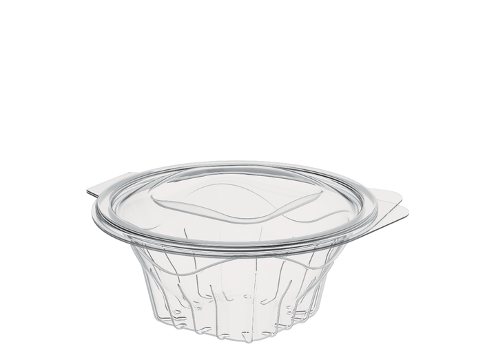 16 oz Pack of 10 Salad Containers with Hinged Lids