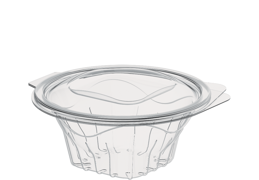 32 oz Pack of 10 Salad Containers with Hinged Lids