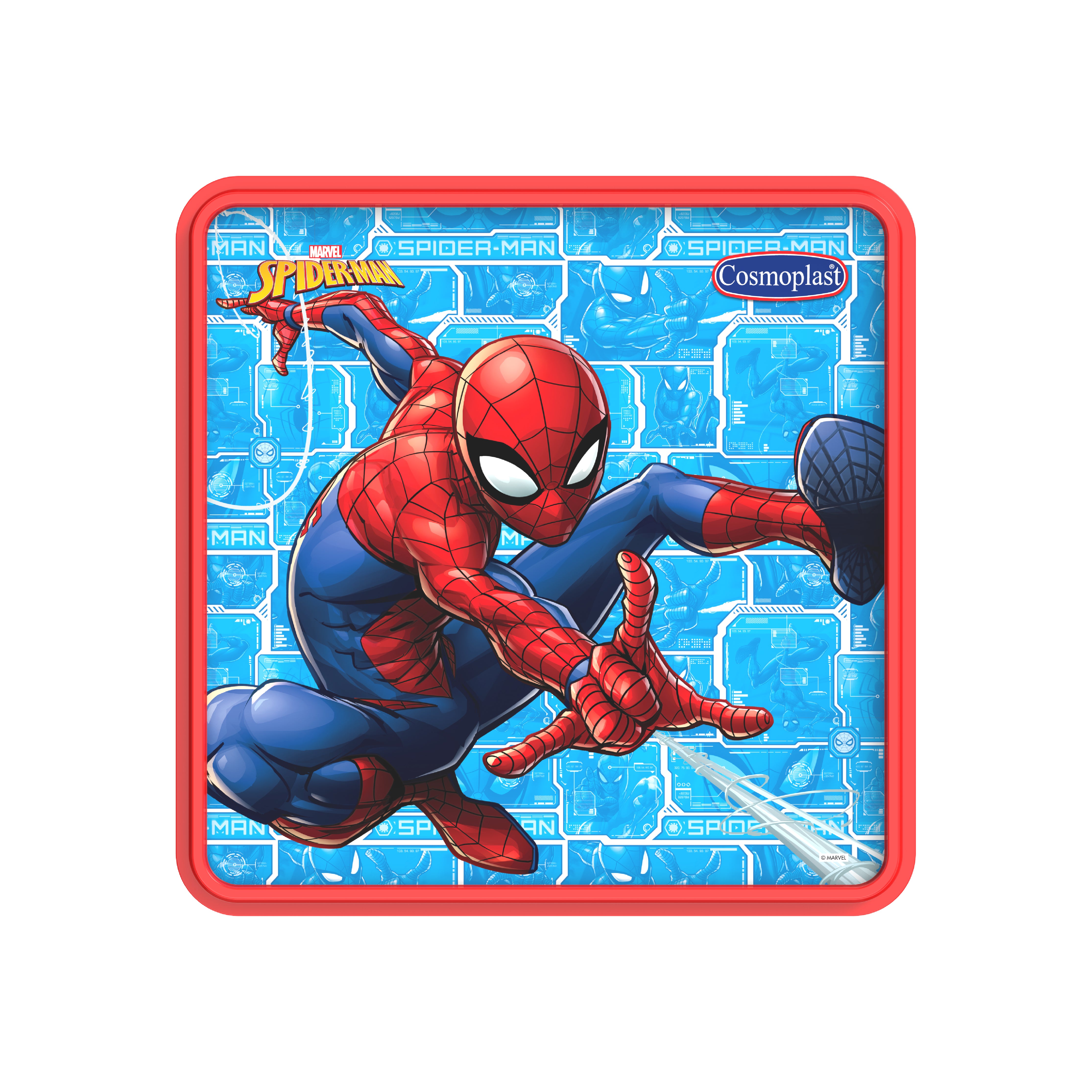 Spider man online organizer