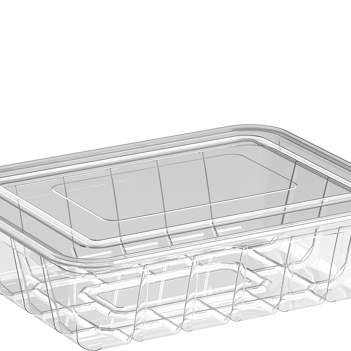 Cosmoplast Clear Plastic 1250 ml Containers UT 225 with Flat Lids - 10 ...
