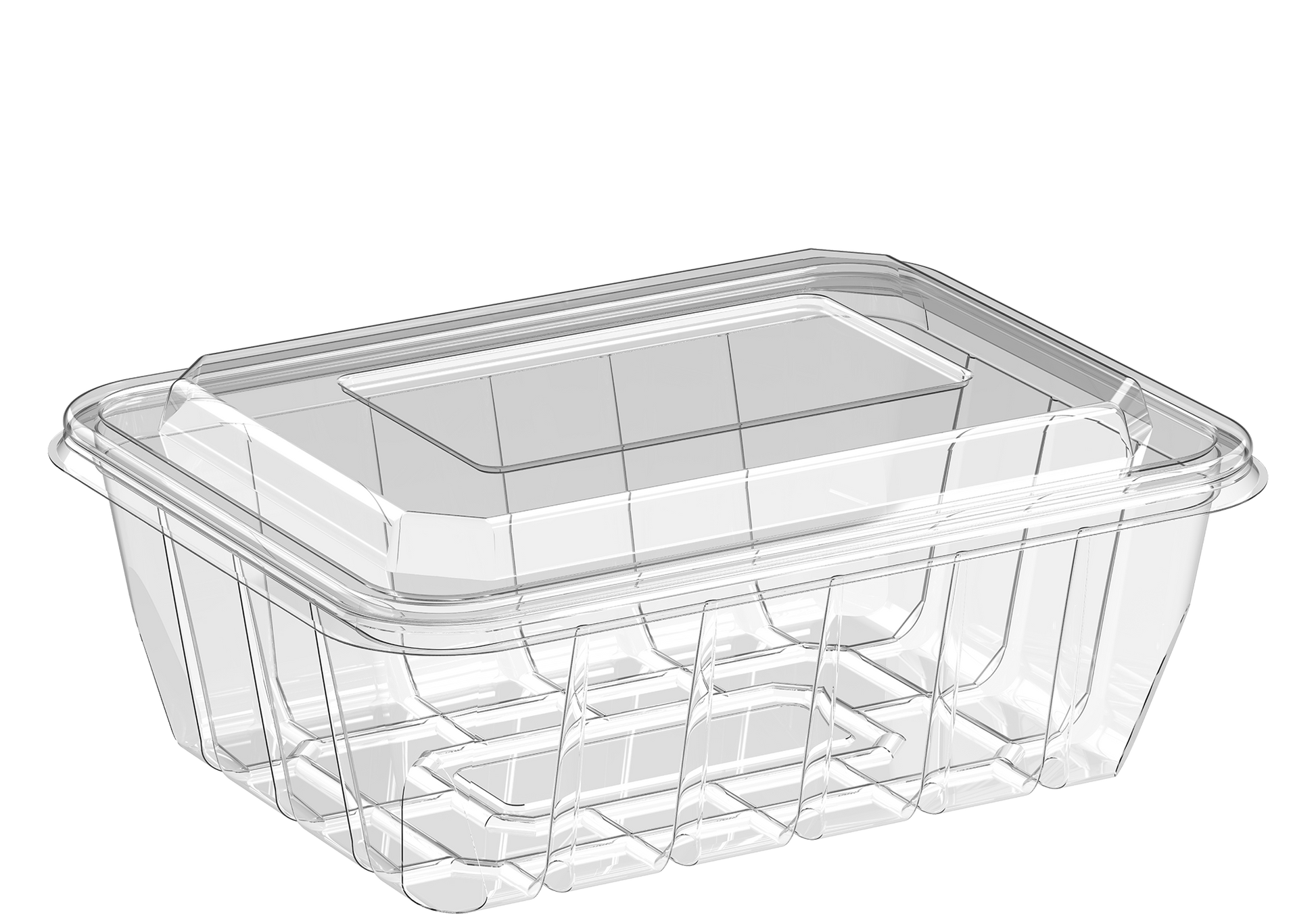 Clear UT300 Containers with Dome Lids